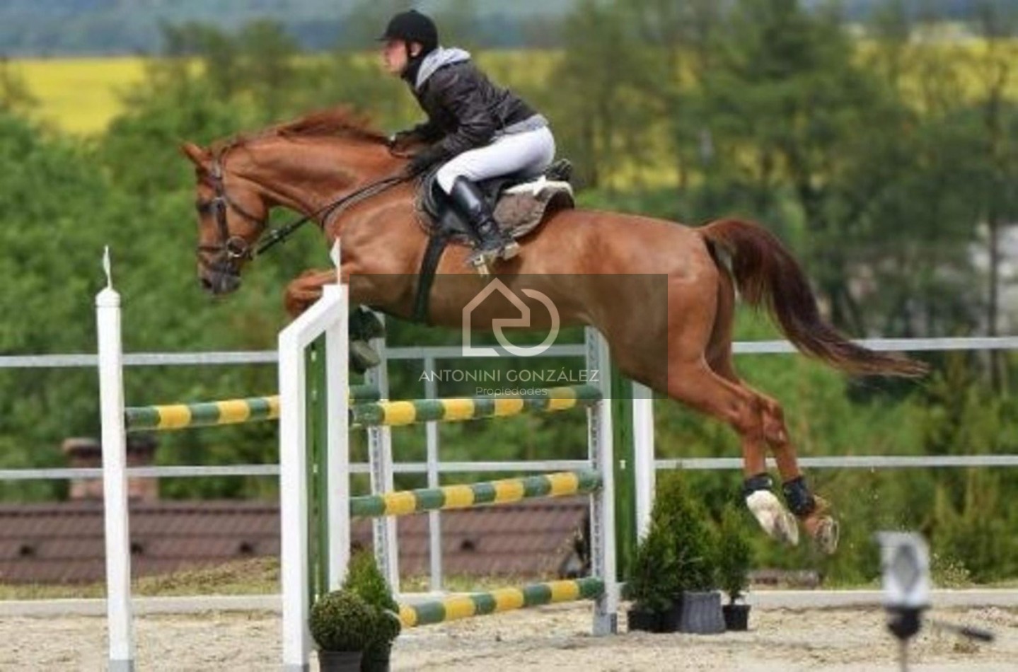 Lote en Haras del Sol
