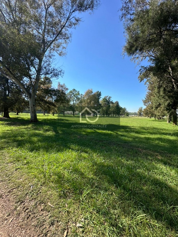 Lote en La Tacuara Club de Campos - Cañuelas | Anticipo U$S 15.000 y Cuotas | Amenities Premium
